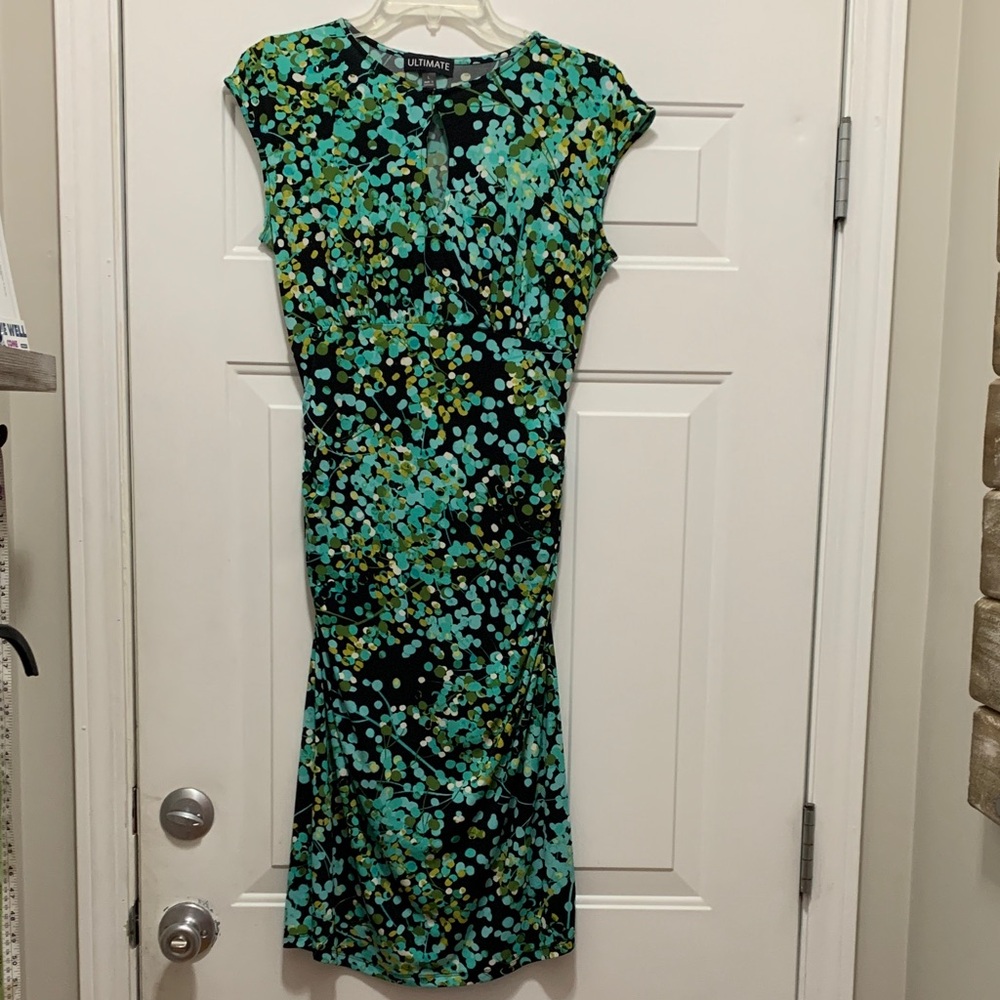 3/$15 Ultimate Mint Green & Black Fitted Asian Inspired Dress Size Large
